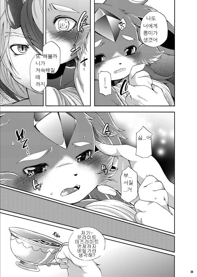 宝石の国と有楽馬