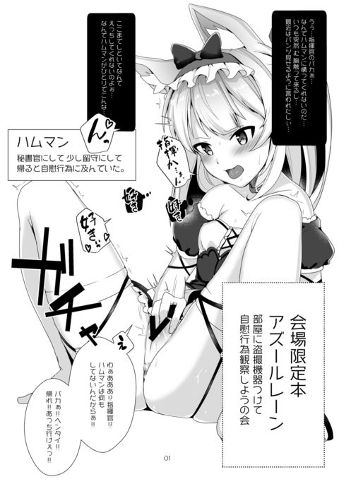 へやにとうさつききつけてじいこういかんさつしようの会 へやにとうさつききつけてじいこういかんさつしようの会