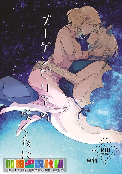 ブーゲンビリアの作夜に