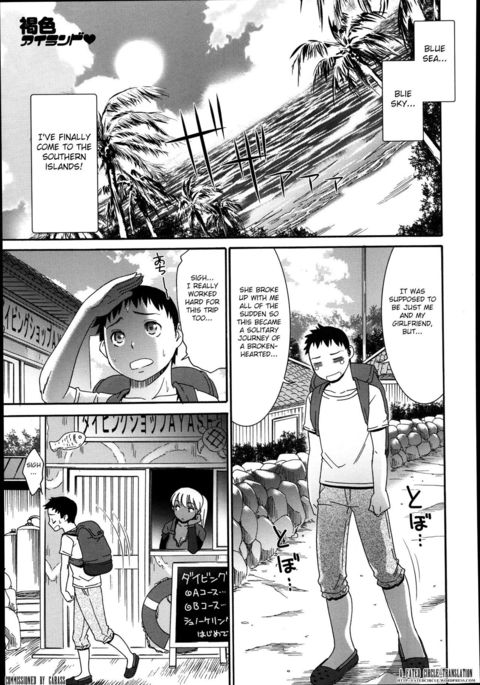 かっしょく島|ブラウンアイランド かっしょく島|ブラウンアイランド