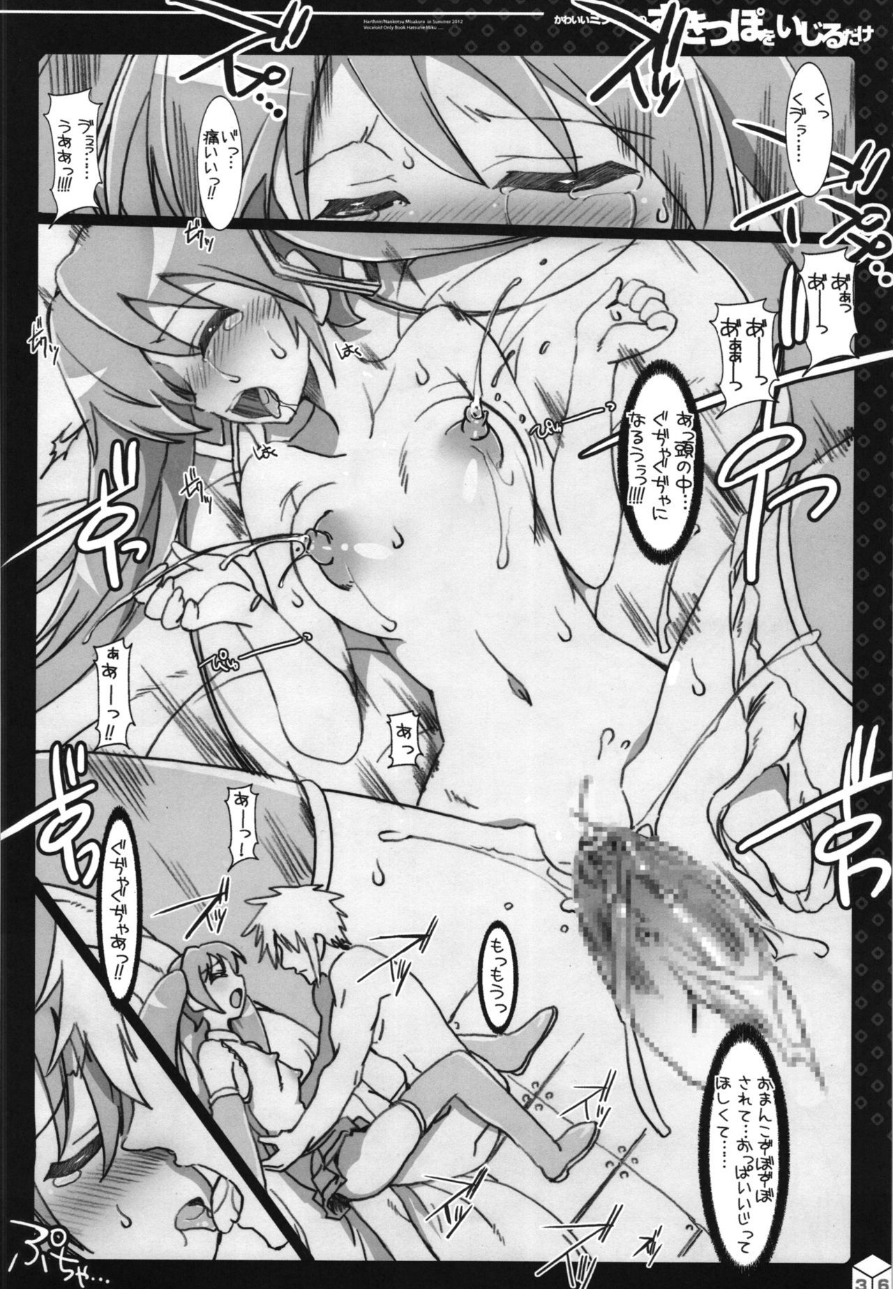 ミクちゃんのサキッポそうしゅうへん+α