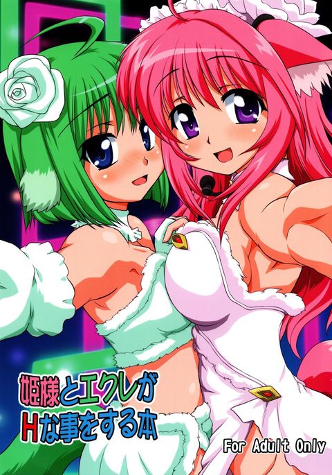 姫様とエクレアがHなことをするする本 姫様とエクレアがHなことをするする本