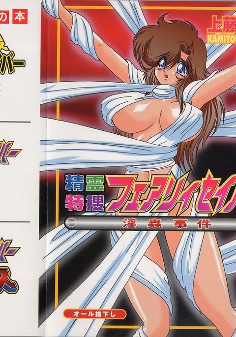 聖霊徳装妖精セイバー無限地拳