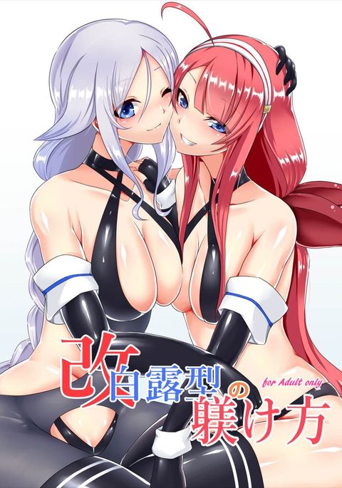 カイ白露型駆逐艦のシツケカタ カイ白露型駆逐艦のシツケカタ