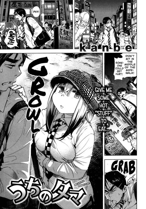 私の小さな猫猫