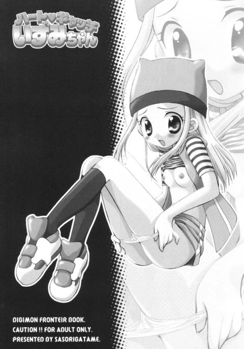 ハートキャッシュ泉ちゃん