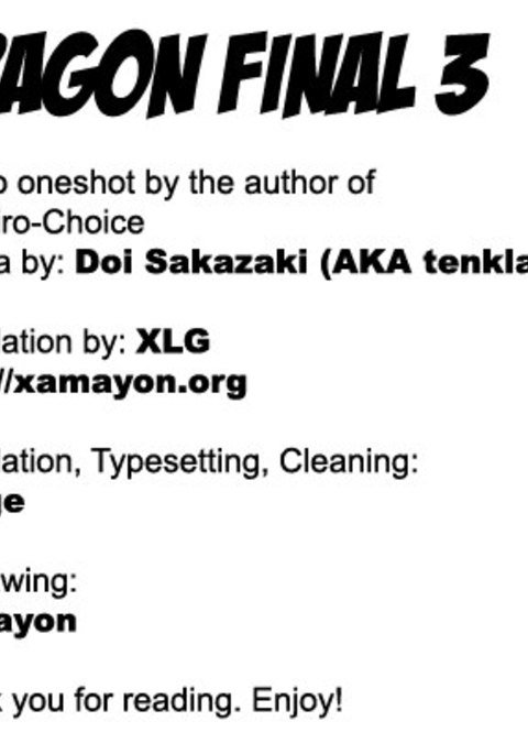 ドラゴンファイナル3