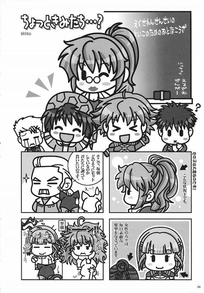 バードストライカー2