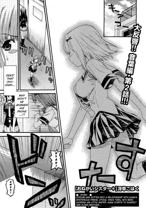 おねがいシスタープラス第2期