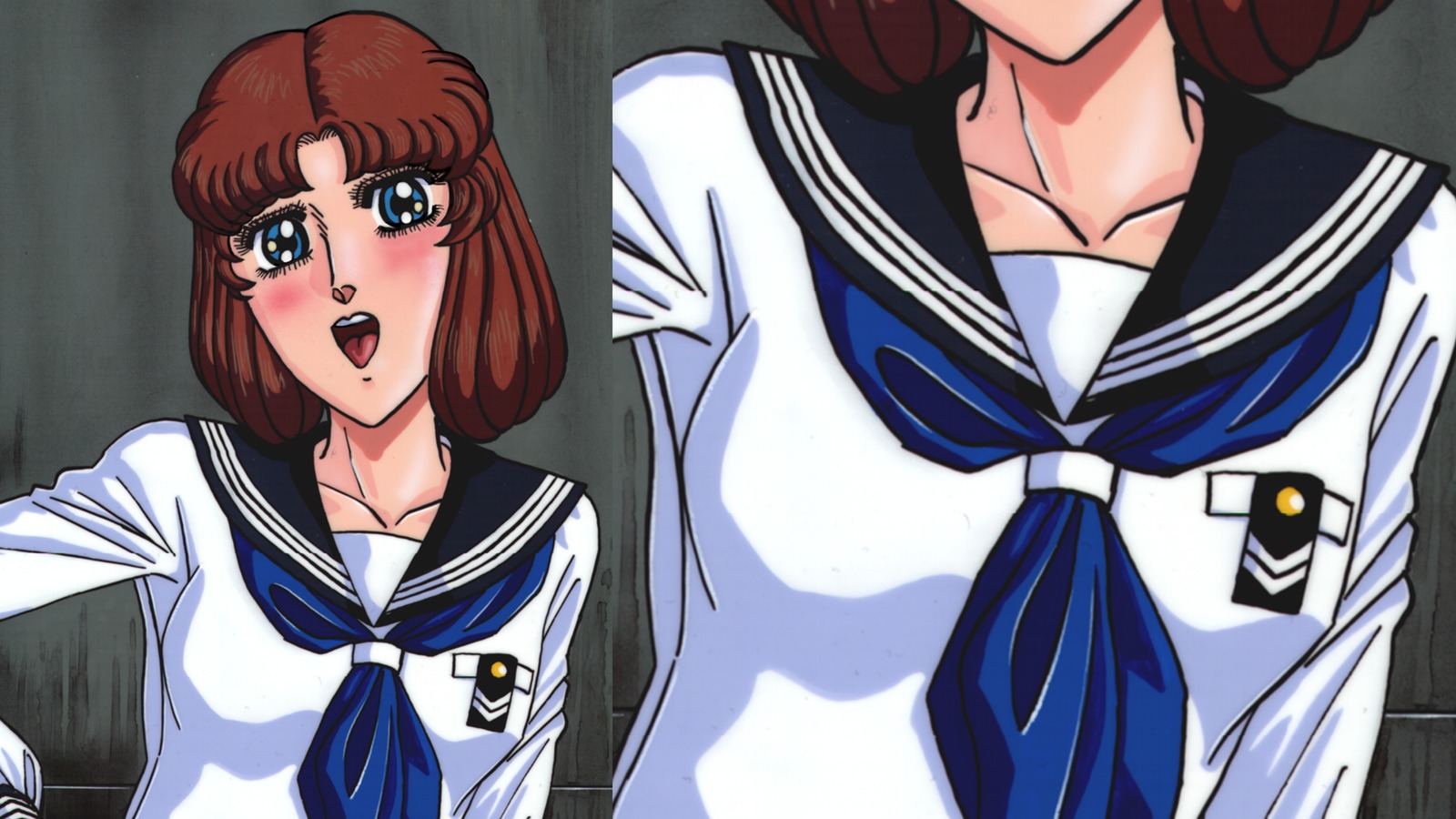 学園女子のしこしこしゃせいなまたいけん