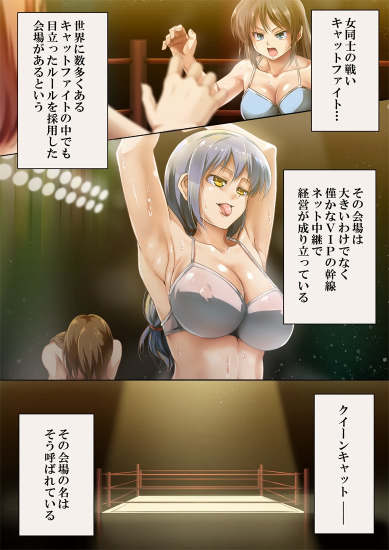 クイーンキャット2 クイーンキャット2