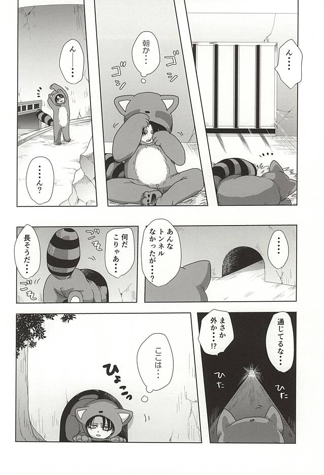 あらいぐまのレビ