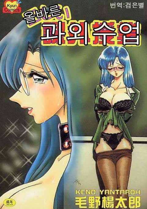 ただしいかがいじゅうぎょう| 올바른과외수업