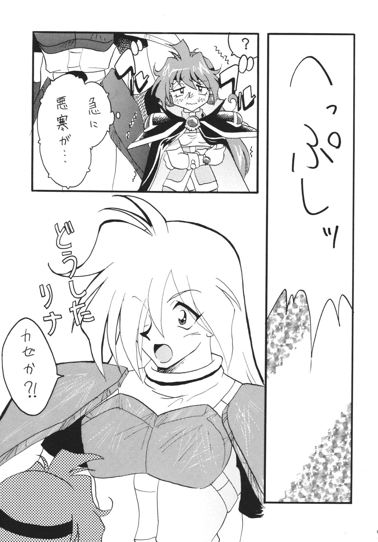 SLAYERS ADULT 12