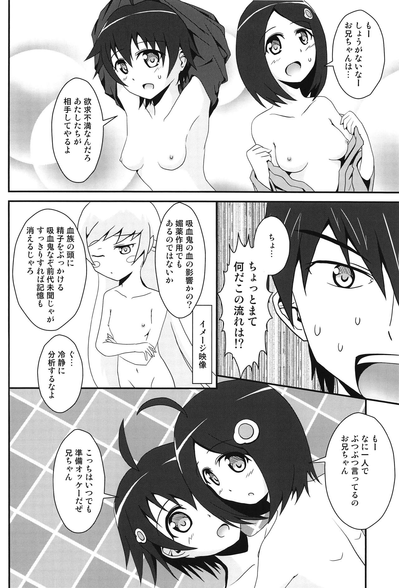 (COMIC1☆6) [S.N.L (しゃーなる)] ぱないの! (化物語)