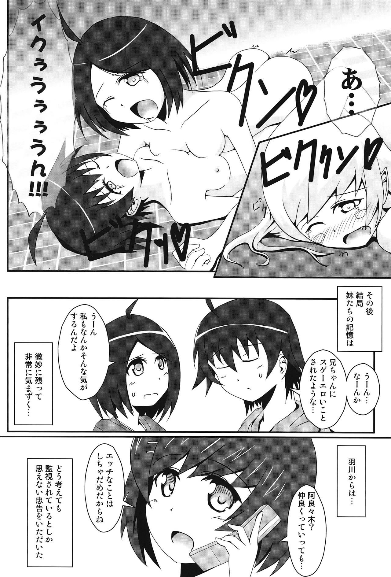 (COMIC1☆6) [S.N.L (しゃーなる)] ぱないの! (化物語)