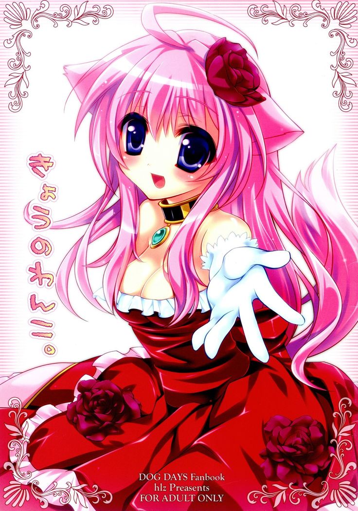 きょうのわんこ。 きょうのわんこ。