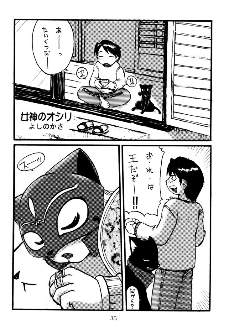 うらねこ。