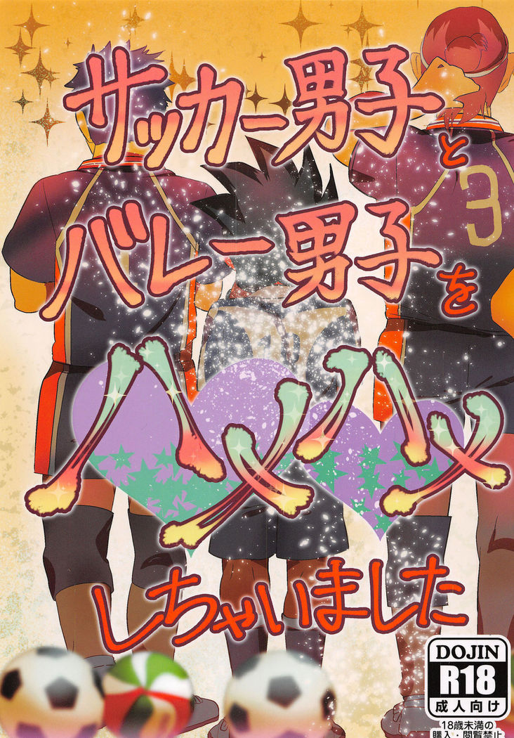 サッカーだんしからボレーだんしおはめはめしちゃいますた サッカーだんしからボレーだんしおはめはめしちゃいますた