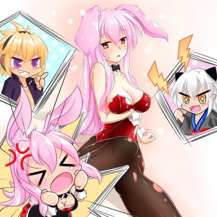 黒ウサギ 黒ウサギ