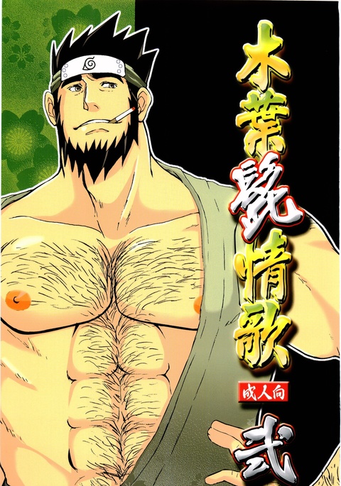 木の葉隠れ隠れ2 木の葉隠れ隠れ2