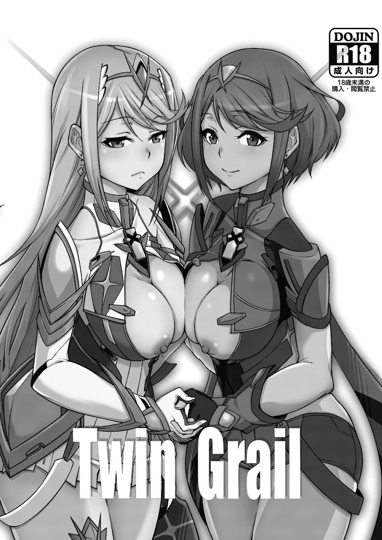 [白い闇 (k-you)] Twin Grail (ゼノブレイド2) [英訳] [DL版]