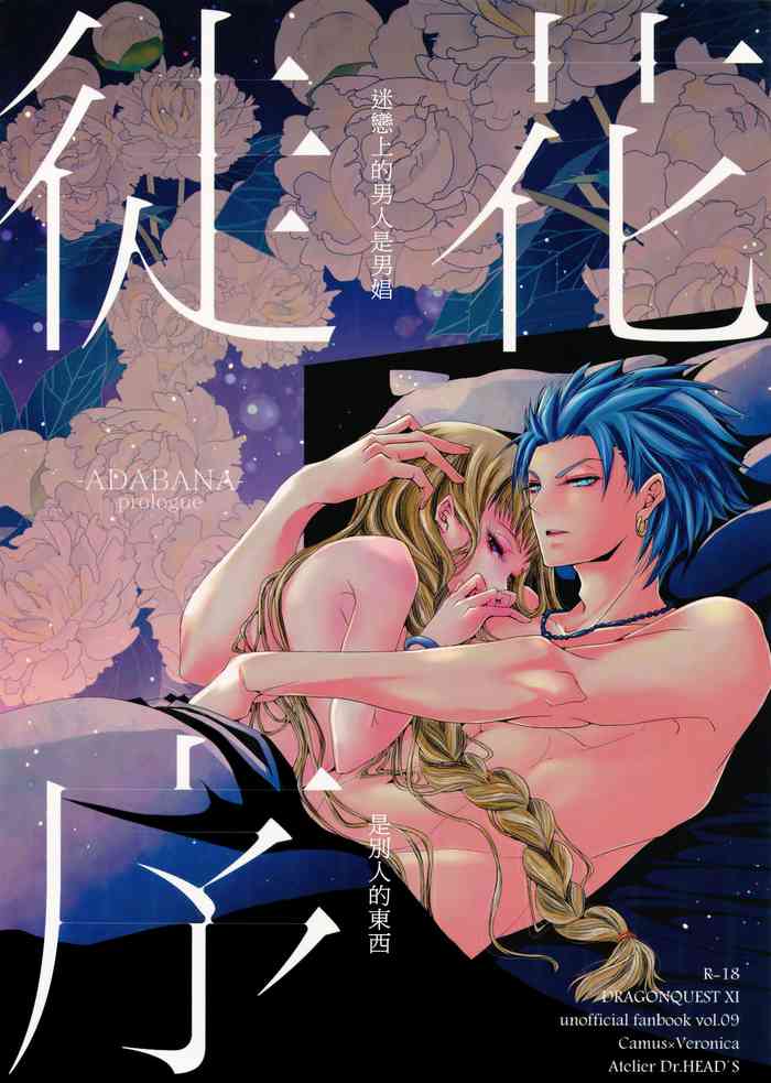 (11番目の勇者4) [アトリエDr.HEAD'S (加藤茶吉)] 徒花：序 (ドラゴンクエストXI) [中国翻訳]