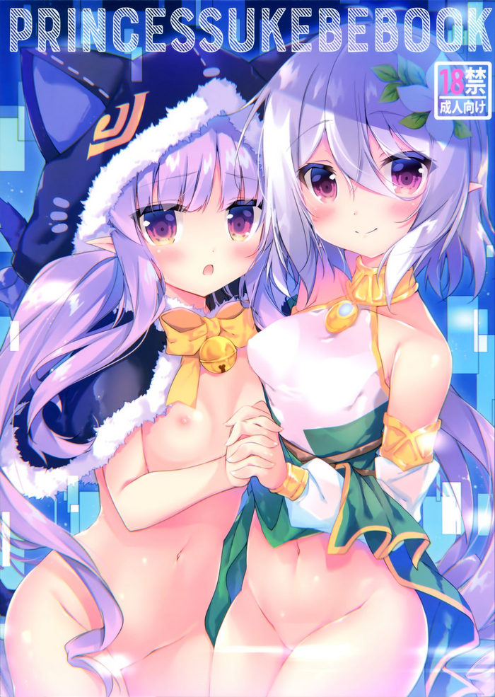 (C97) [桃のカンヅメ (七桃りお)] PRINCESSUKEBEBOOK (プリンセスコネクト!ReDive)