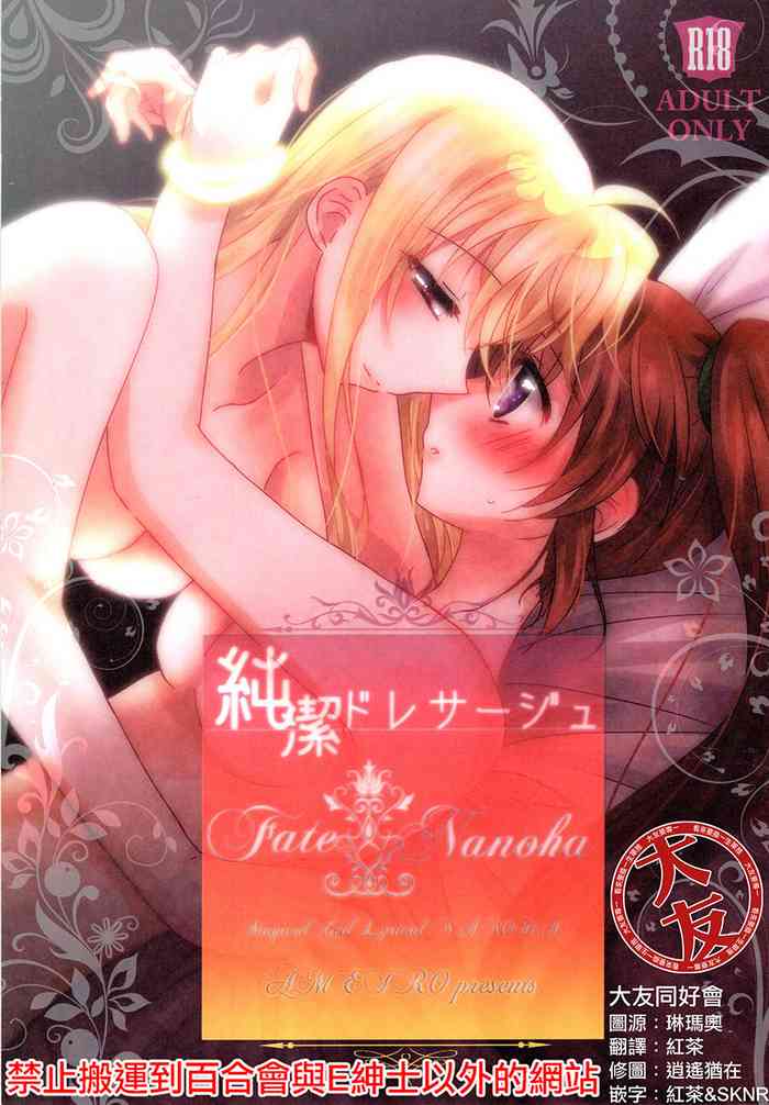 (C93) [あめいろ(七色)] 純潔ドレサージュ (魔法少女リリカルなのは) [中国翻訳]