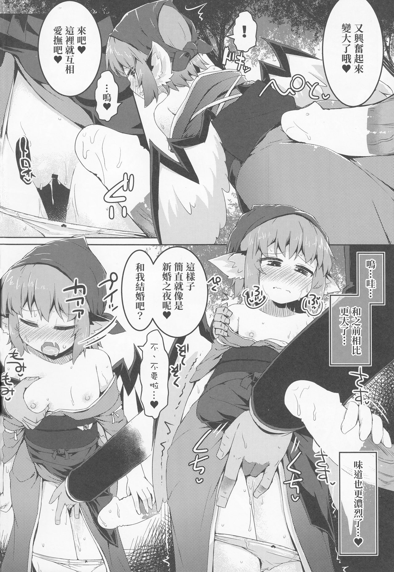 (例大祭16) [らーめんらいす (らじー)] 借禁鳥 (東方Project) [中国翻訳]