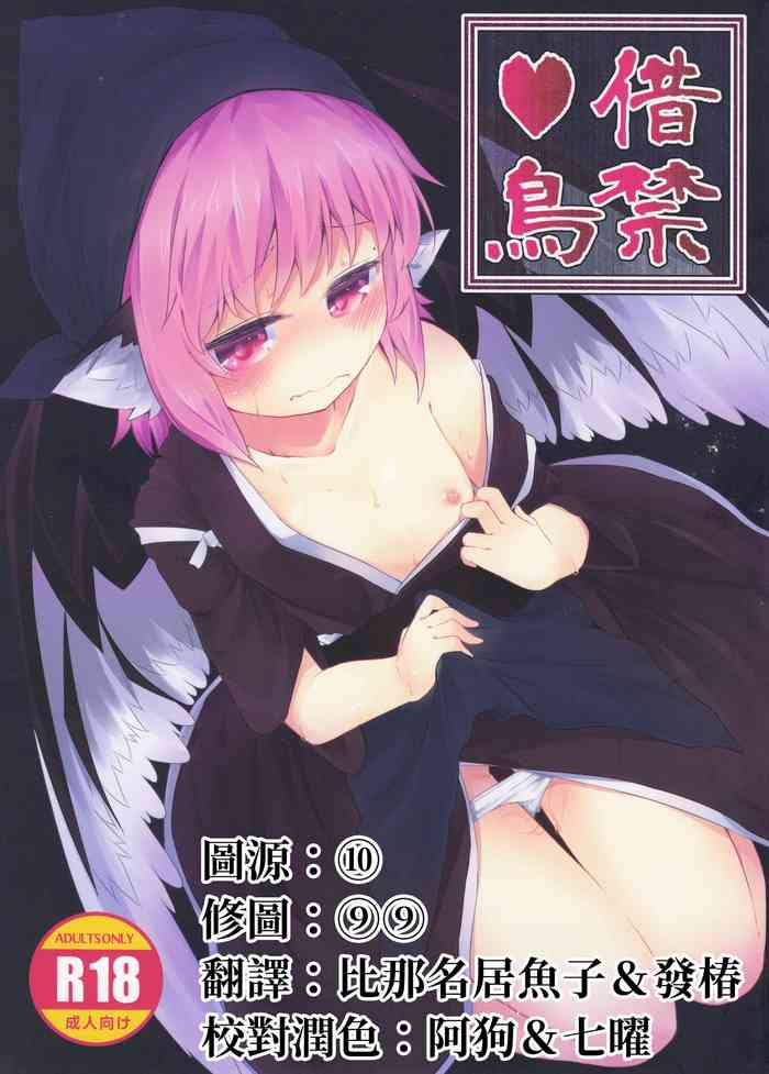 (例大祭16) [らーめんらいす (らじー)] 借禁鳥 (東方Project) [中国翻訳]