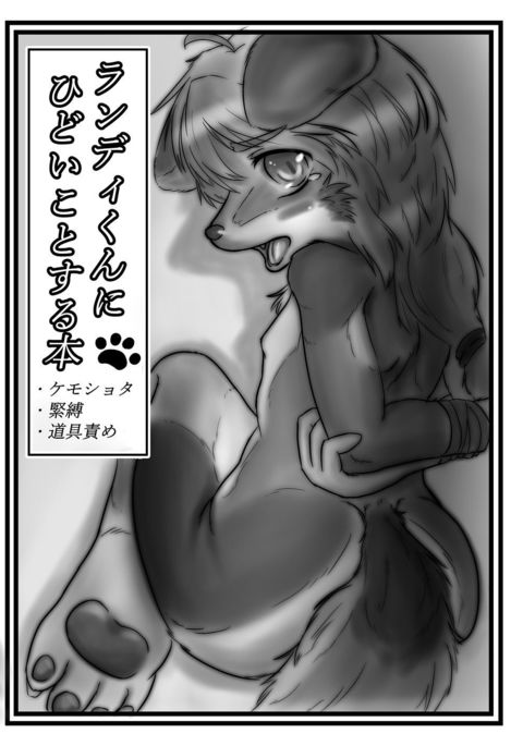 ランディくんに飛騨箏する本