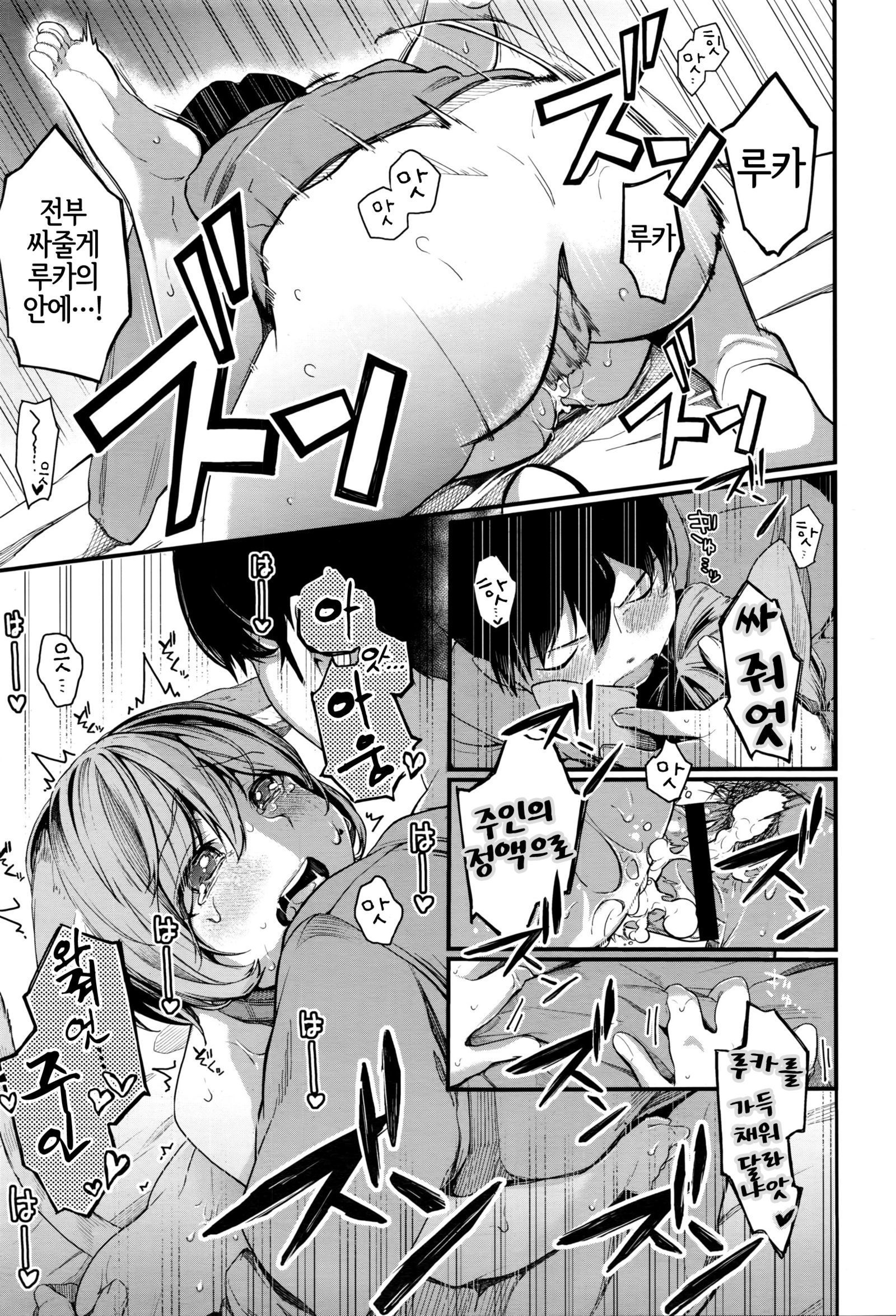 ニャンコとの夜