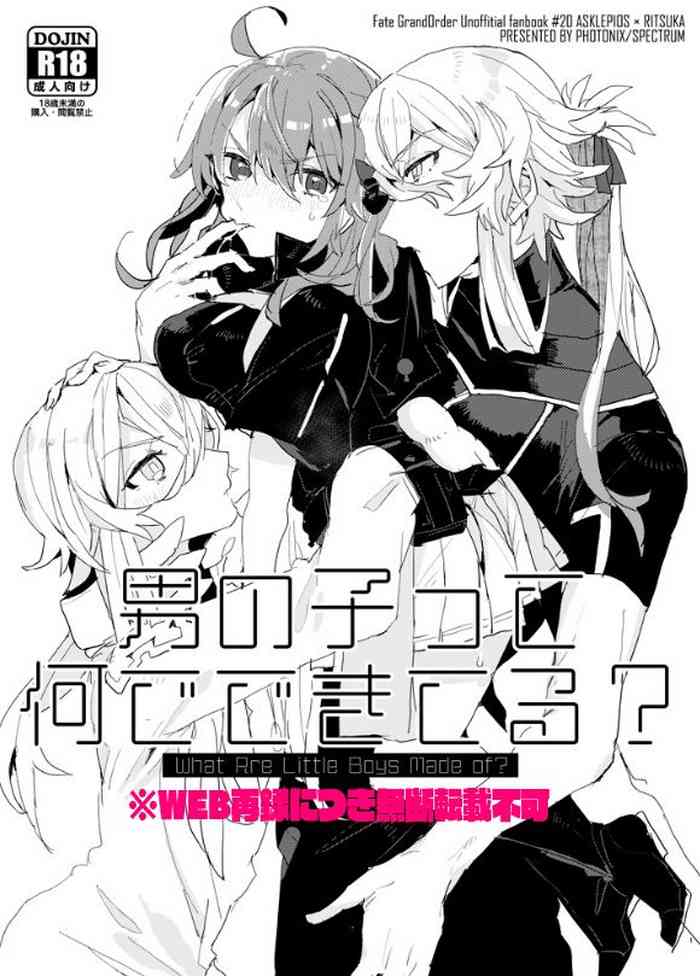 [PHOTONIX (てらし)] 男の子って何でできてる? (Fate/Grand Order) [DL版]
