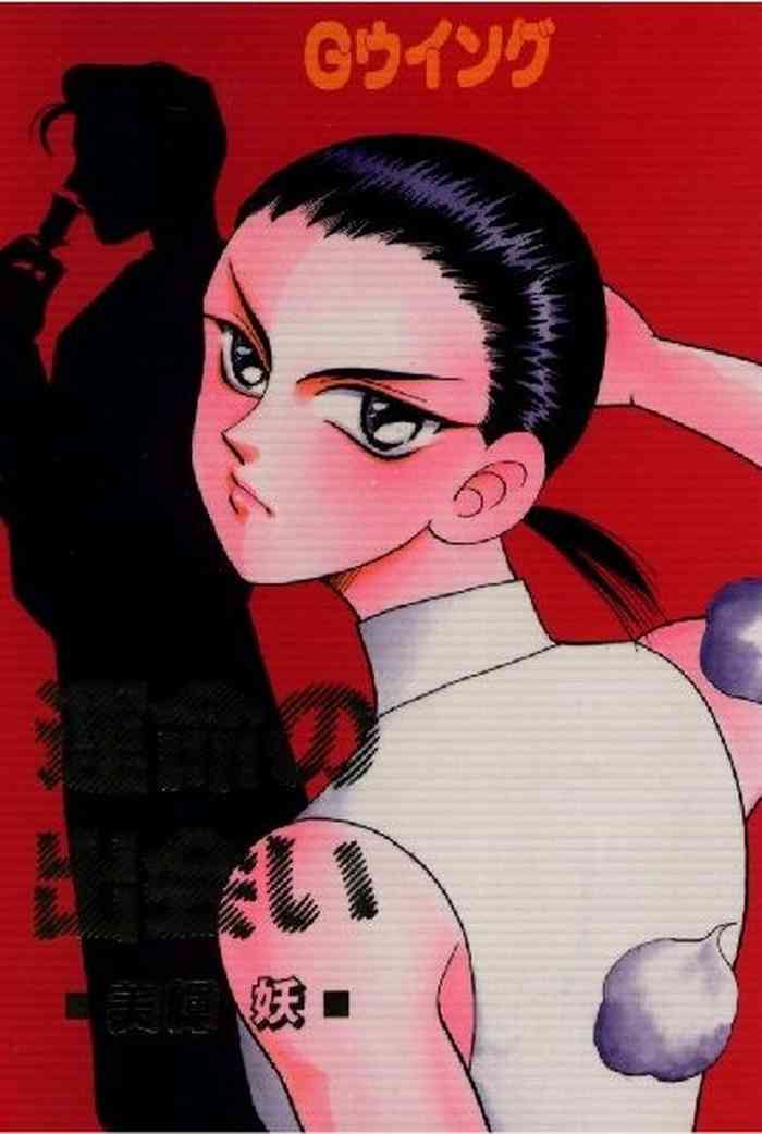 [狼心炎 (美輝妖)] 運命の出会い (ガンダムW)