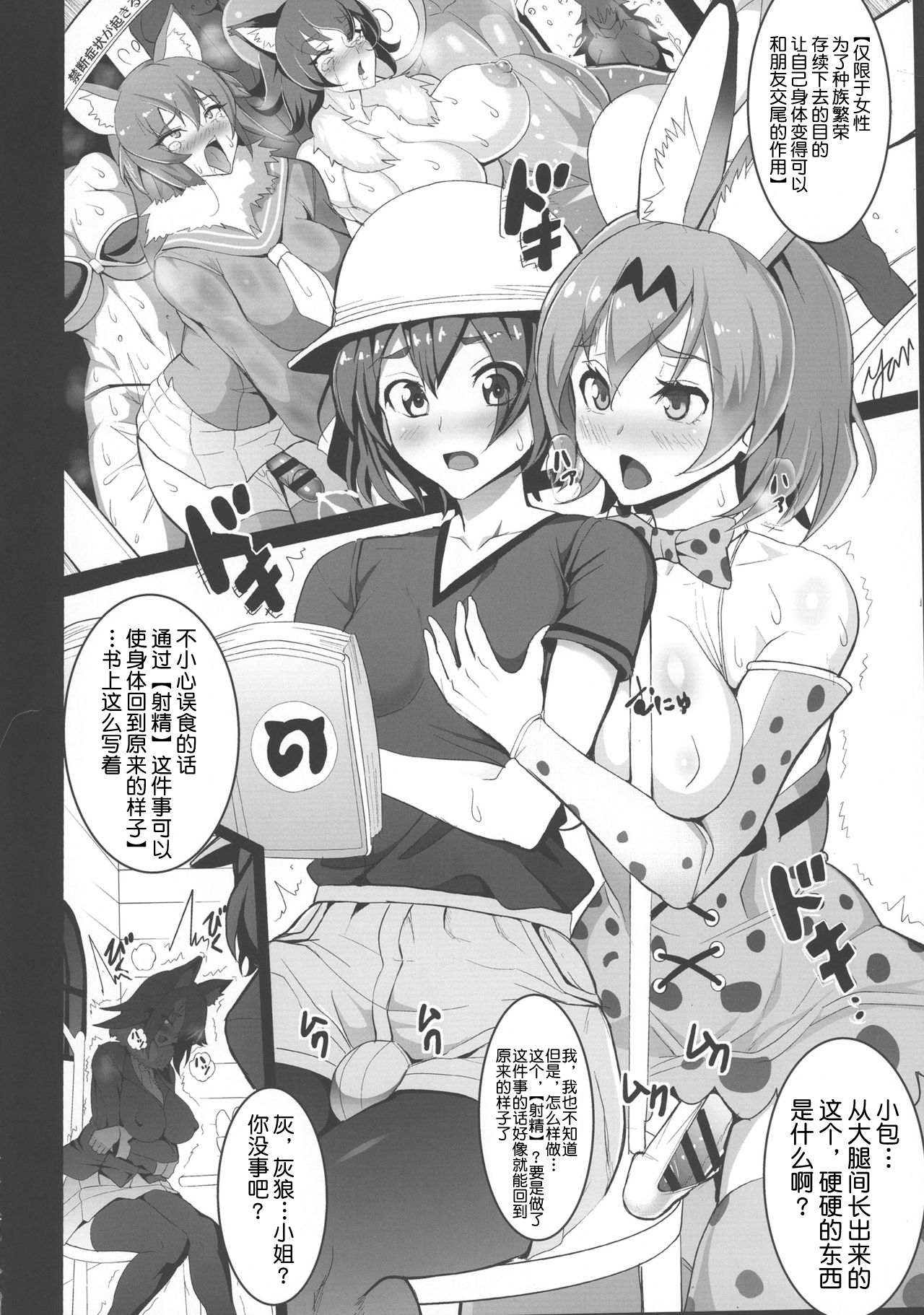 (ふたけっと13) [Circle Σ (泡盛一太朗)] やばんなフレンズ (けものフレンズ) [中国翻訳]