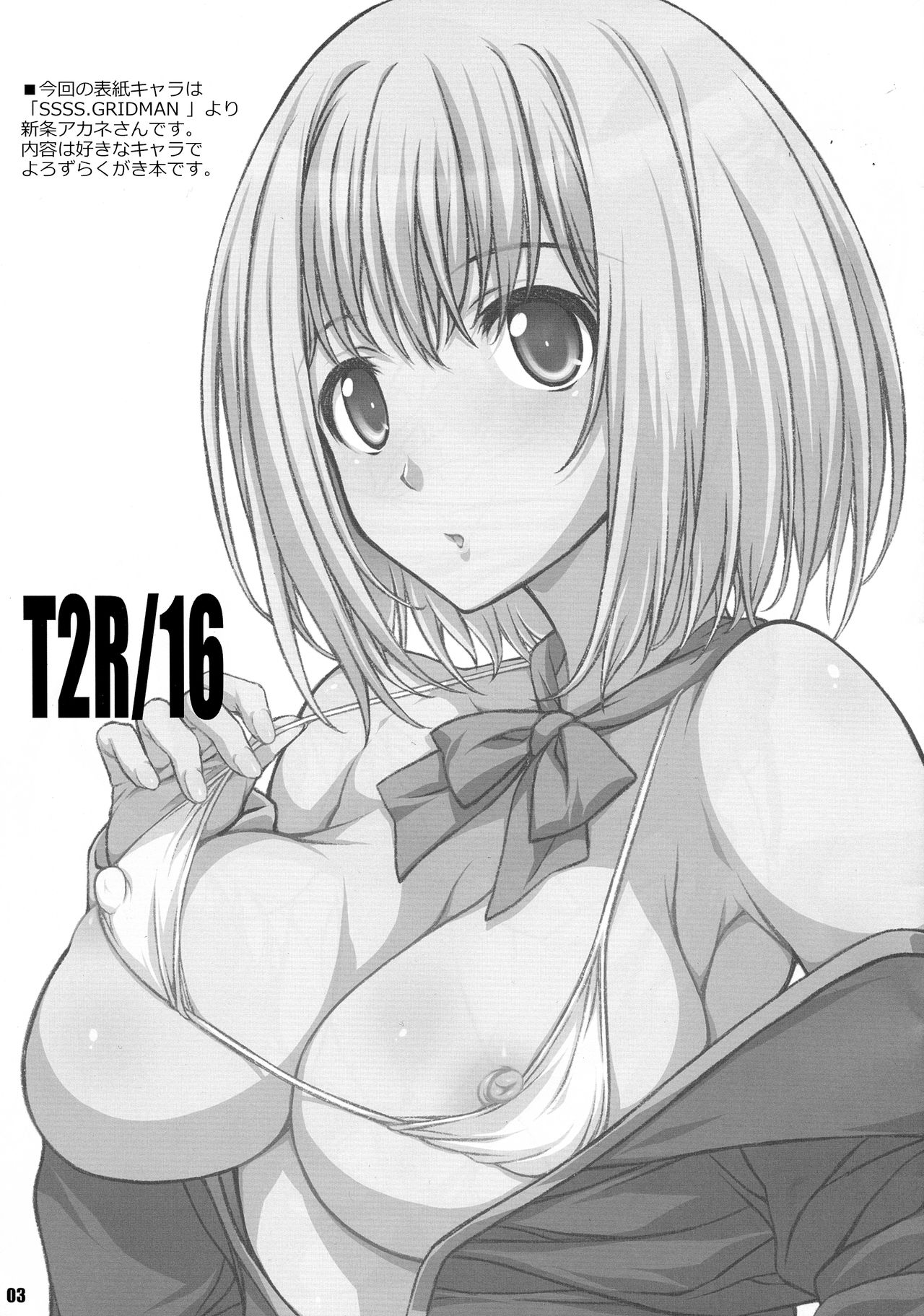 (C95) [BRIEST (八嶋テツヤ)] T2R/16 (よろず)