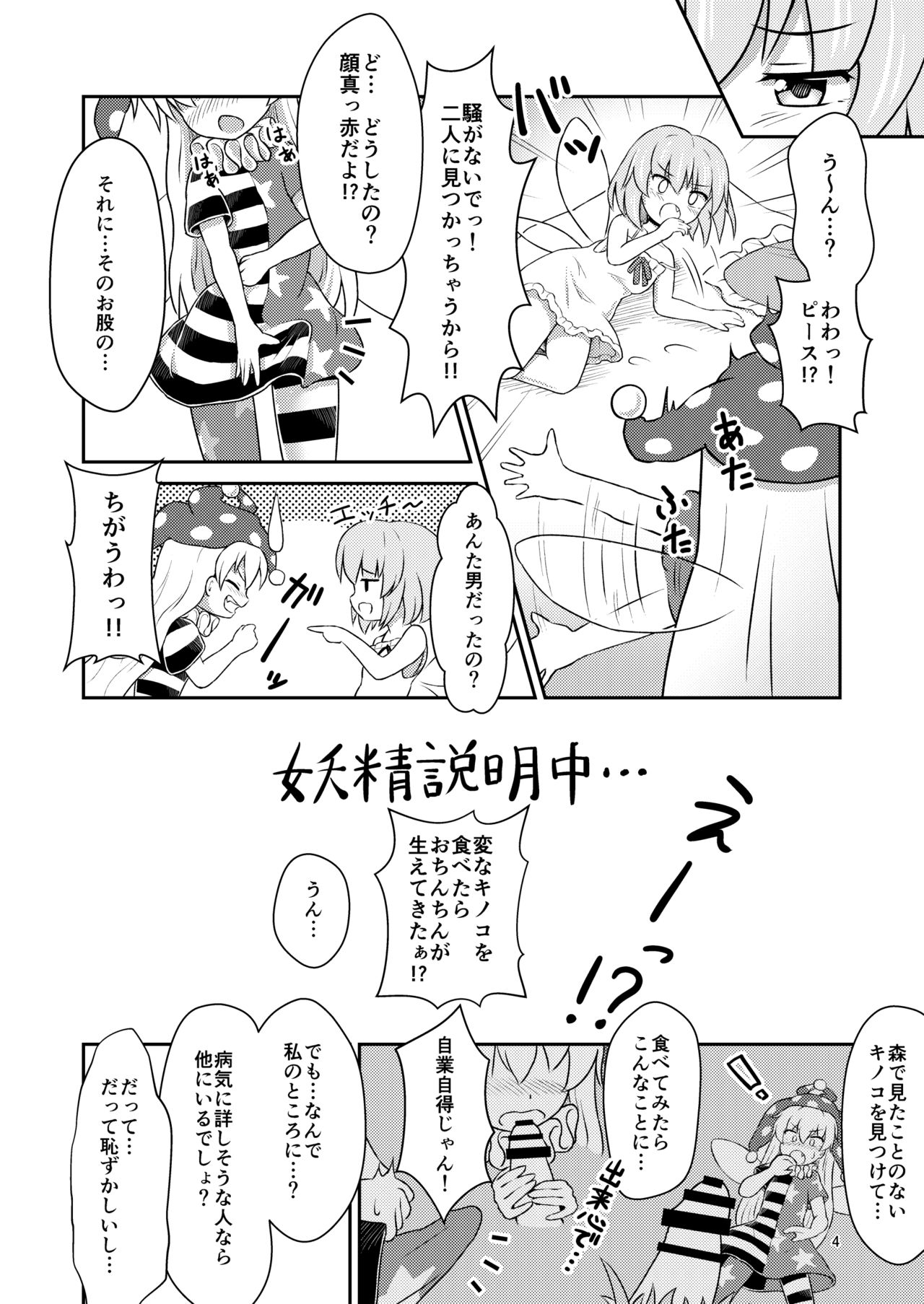 [るなてぃっくとらべらー (白月しおり)] 妖精セックスコミュニケーション (東方Project) [DL版]