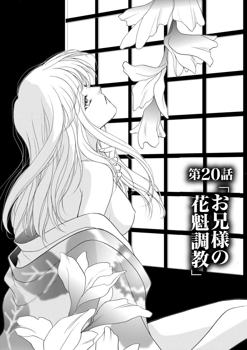 [青海信濃] 妹妾～お兄さま、もう許して～ 4 [DL版]