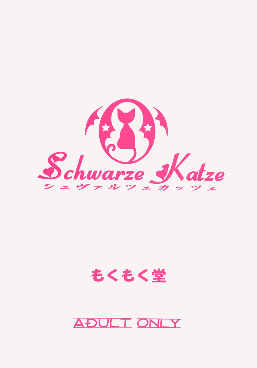 (サンクリ16) [もくもく堂 (常磐兼成)] Schwarze Katze シュヴァルツェカッツェ (ぴたテン、焼きたて!! ジャぱん)