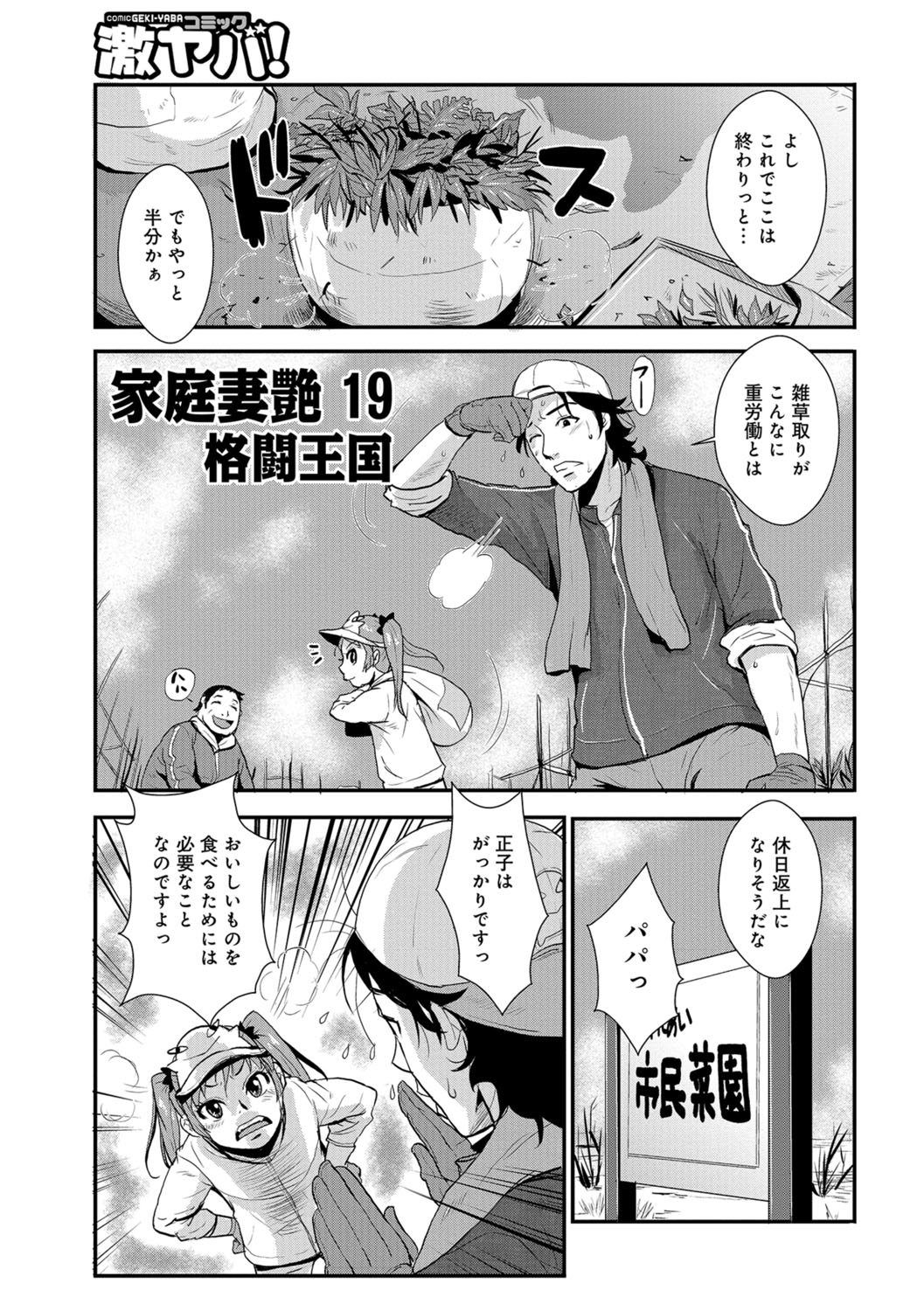 [格闘王国] 家庭妻艶 Vol.3