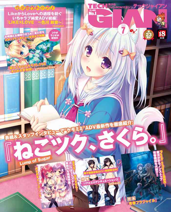 TECH GIAN 2020年7月号 [DL版]