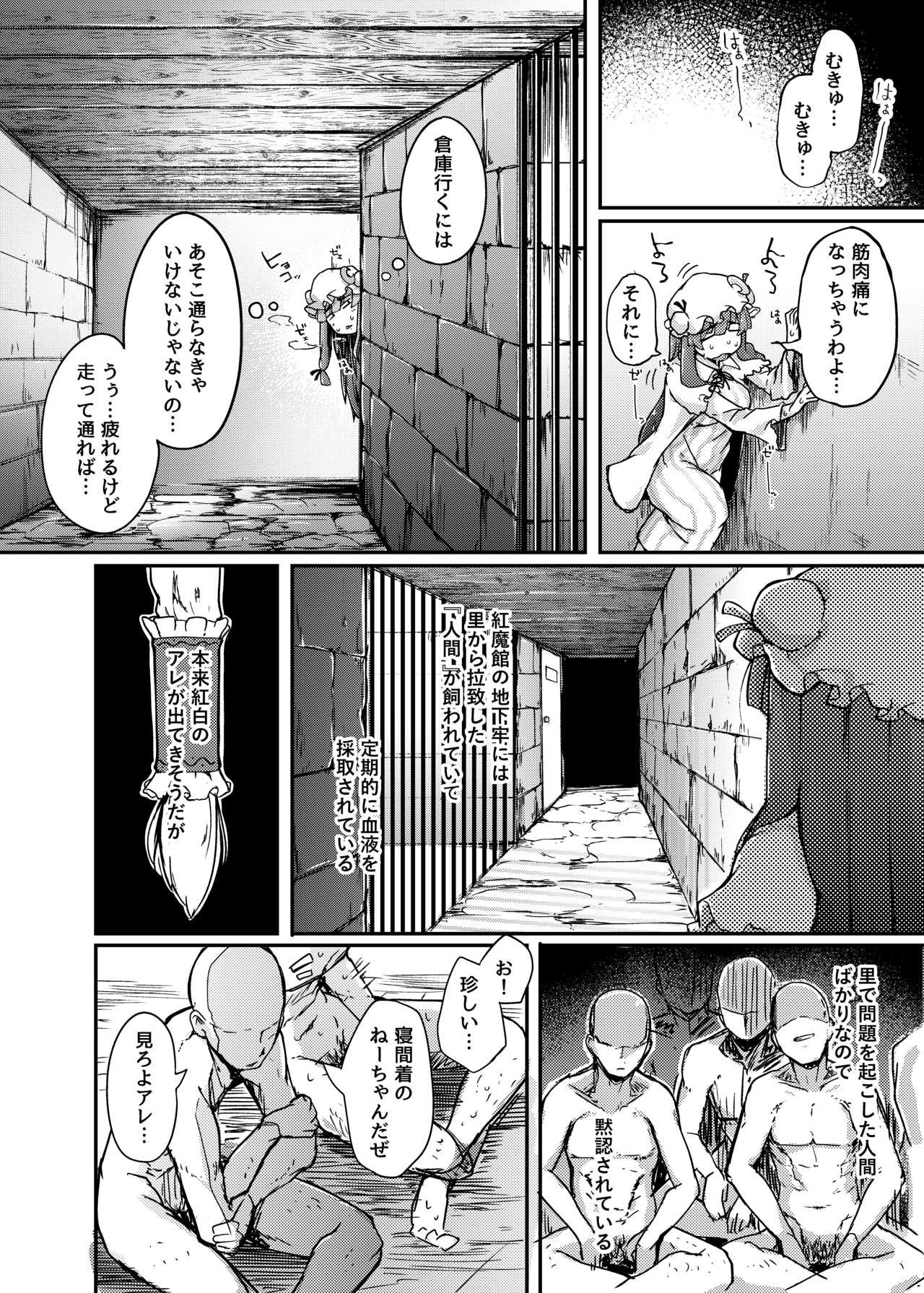 [自家発電処 (flanvia)] 穴とむっつりどすけべだいとしょかん (東方Project) [DL版]