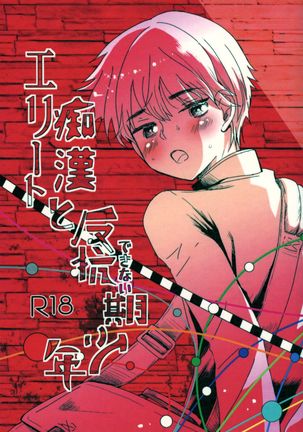 エリイトチカンからハンコウデカナイキ少年