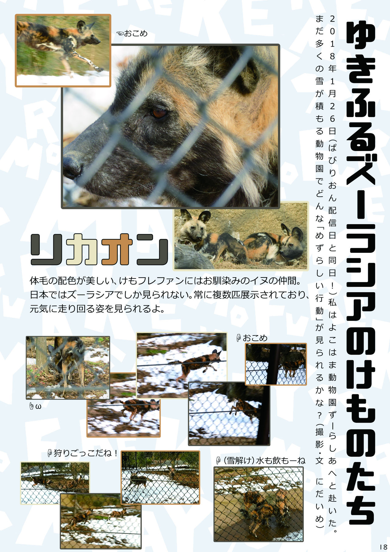 [mayけものフレンズ (よろず)] mayけものフレンズスレ合同誌2 (けものフレンズ) [DL版]