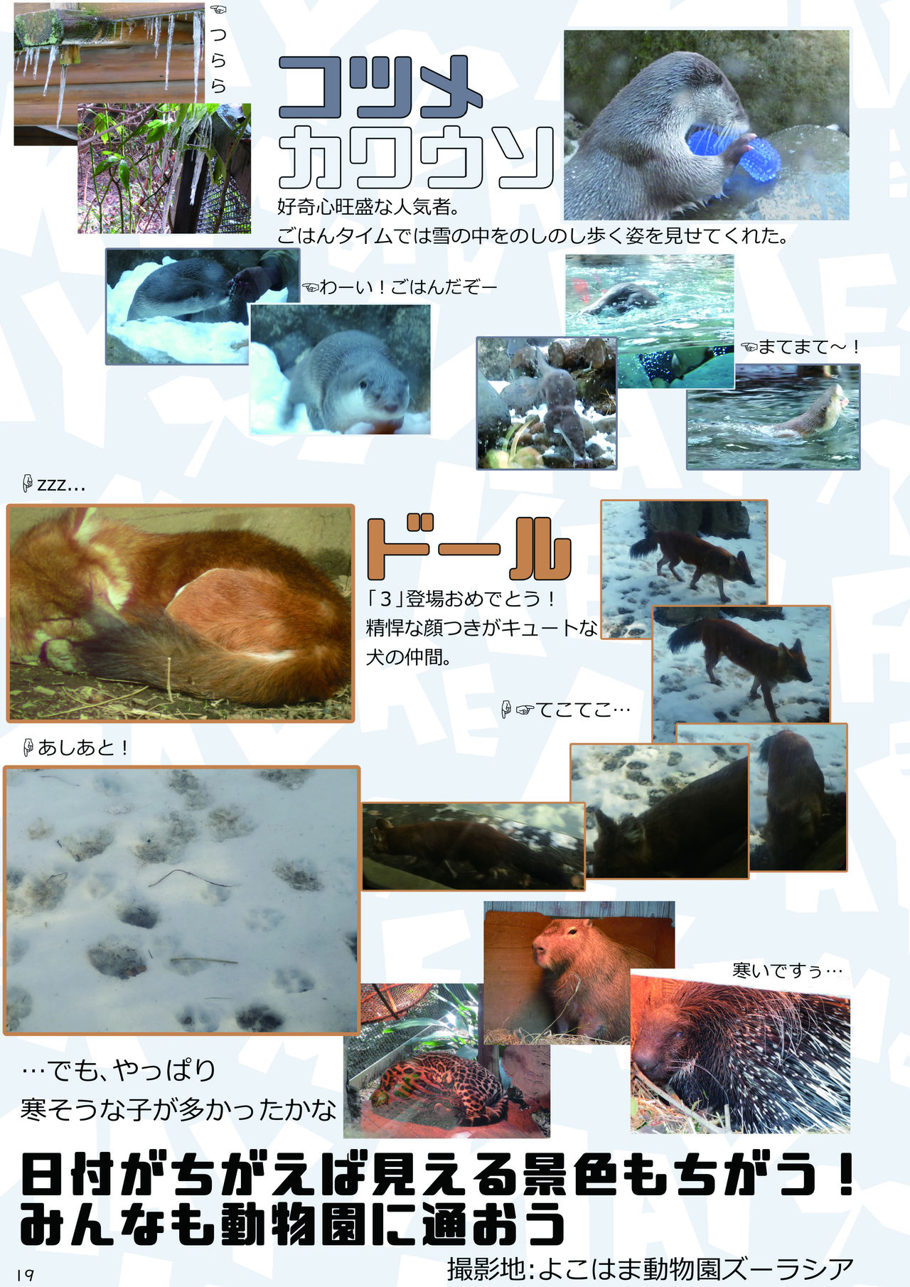 [mayけものフレンズ (よろず)] mayけものフレンズスレ合同誌2 (けものフレンズ) [DL版]