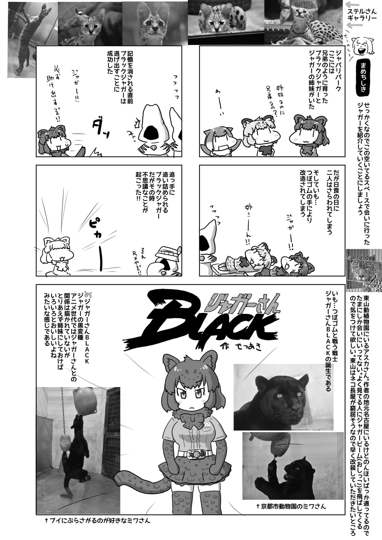 [mayけものフレンズ (よろず)] mayけものフレンズスレ合同誌2 (けものフレンズ) [DL版]