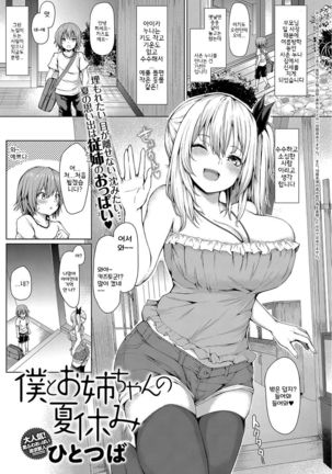 ぼくとおねえちゃんの夏夜