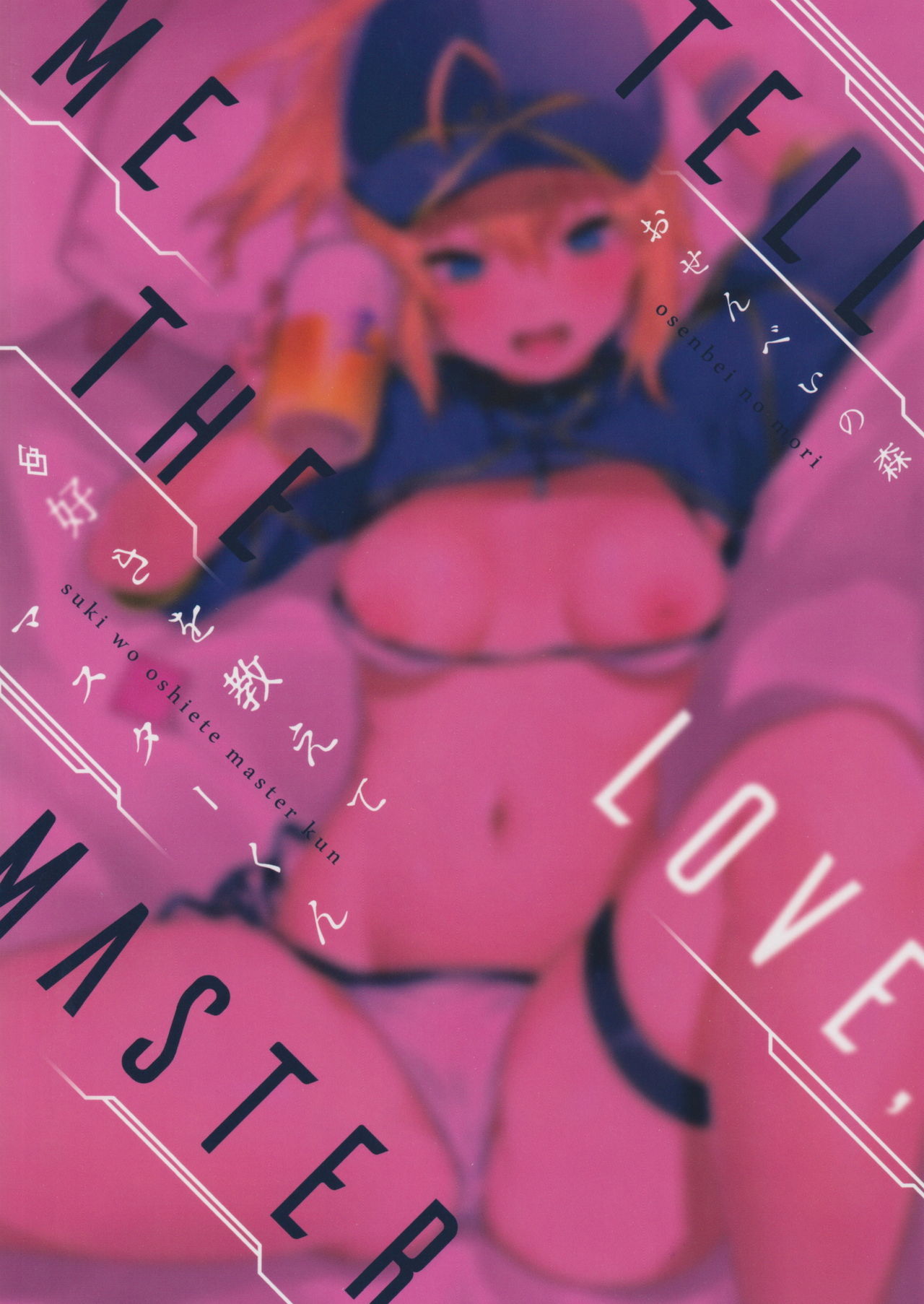 スキをオシエテマスターくん-TellMe the Love、Master