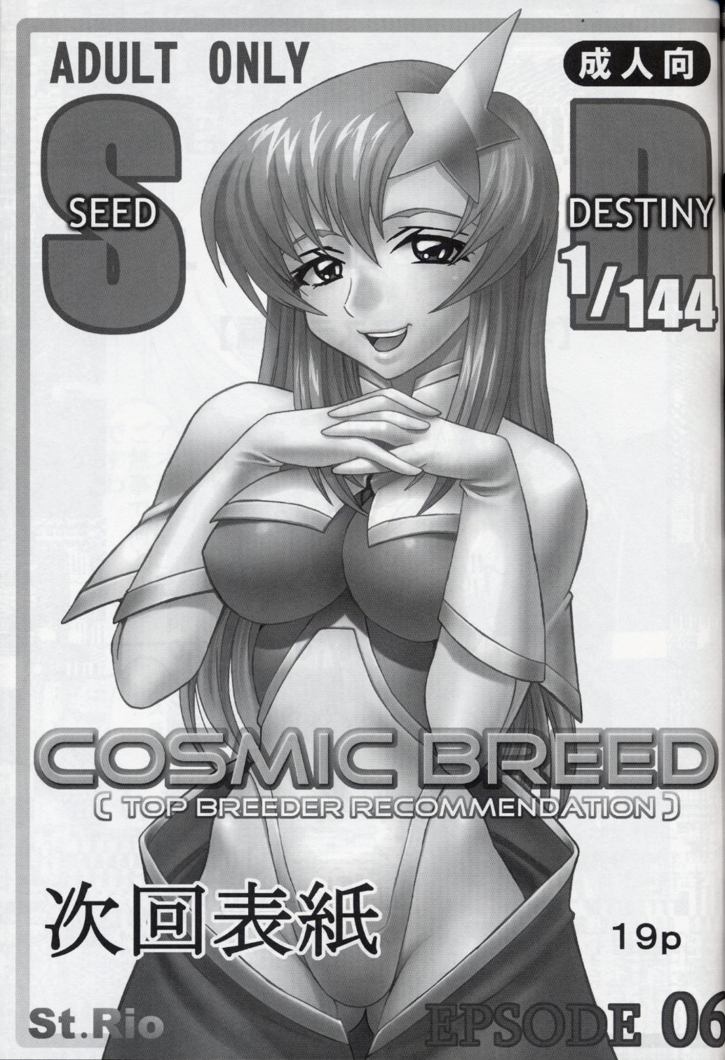 [聖リオ (キ帝ィ、紅園寺麗)] コズミックブリード5 (機動戦士ガンダムSEED DESTINY) [中国翻訳]